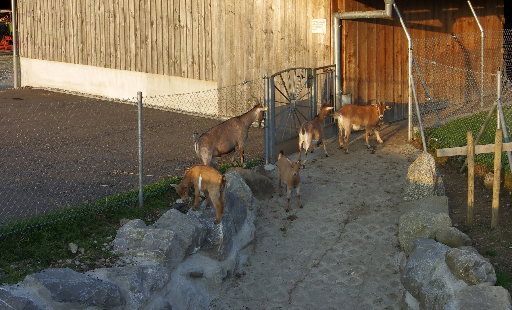 Ferien auf dem Bauernhof