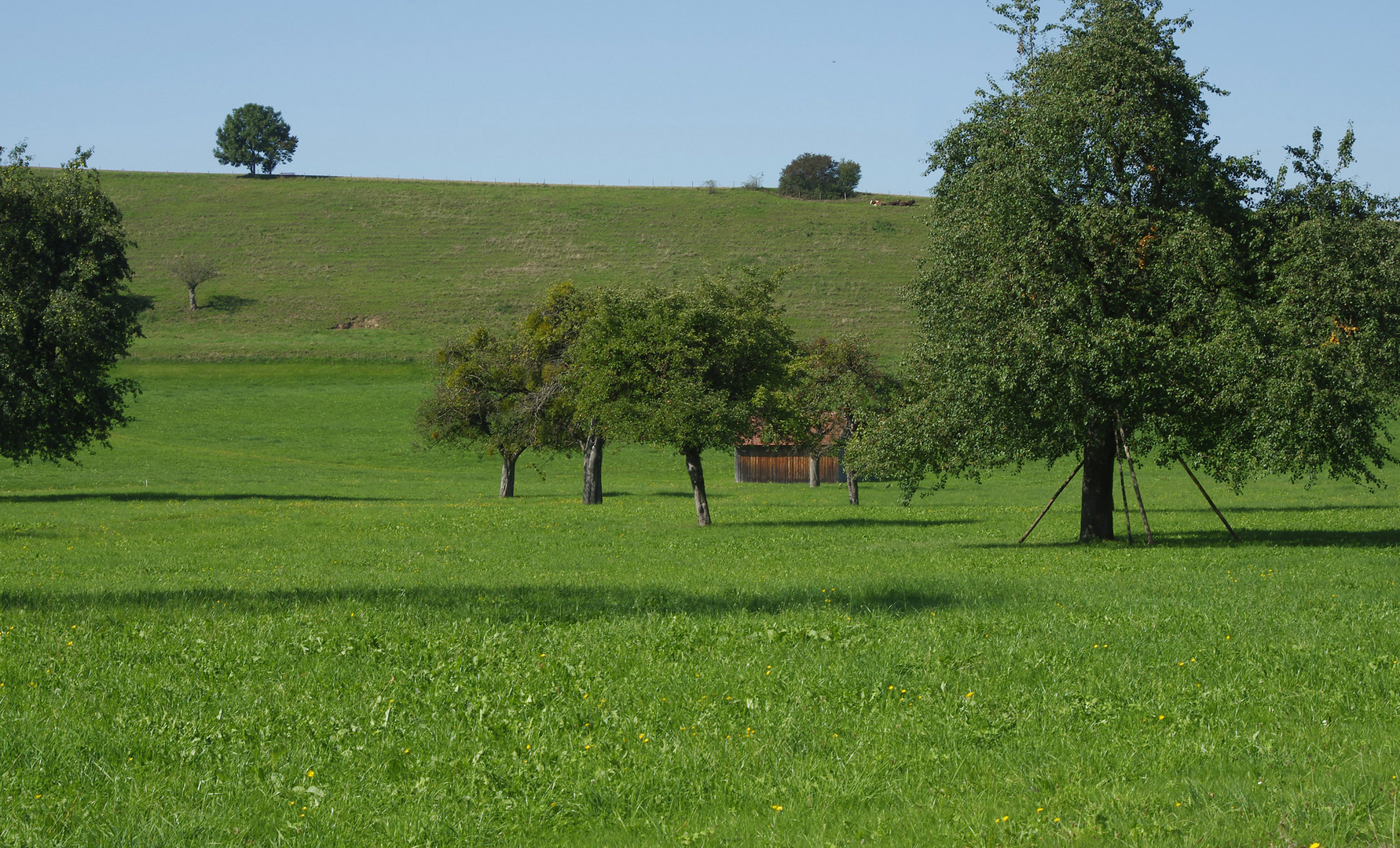 Ferien auf dem Bauernhof