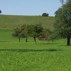 Ferien auf dem Bauernhof