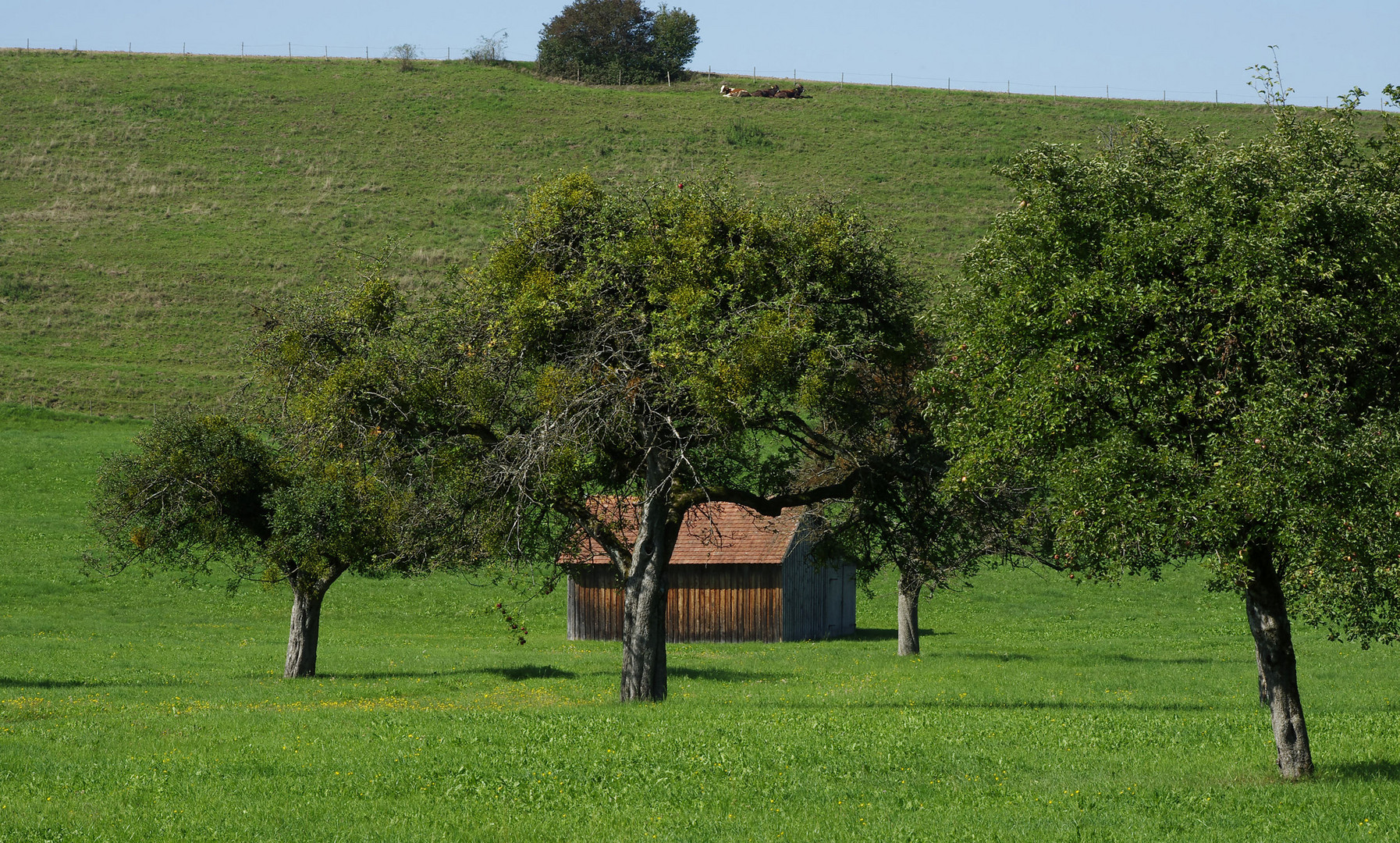 Ferien auf dem Bauernhof