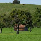 Ferien auf dem Bauernhof