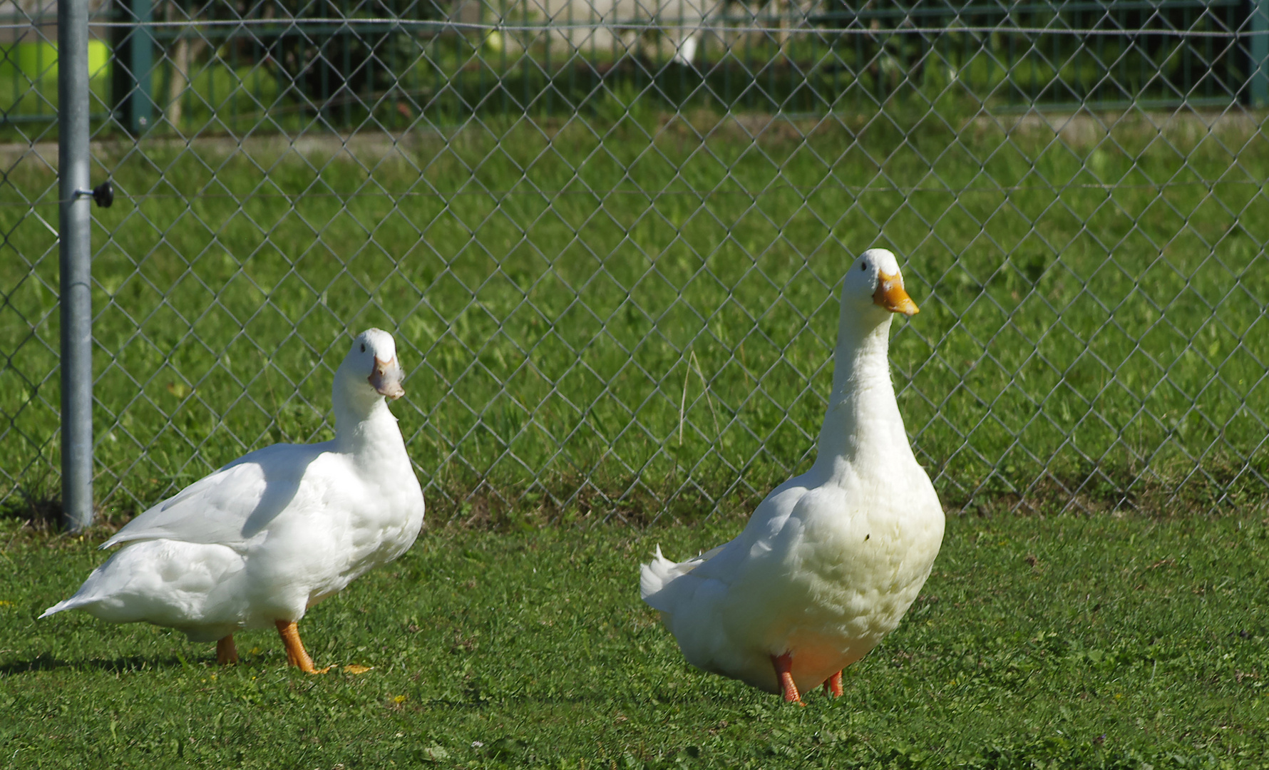 Ferien auf dem Bauernhof