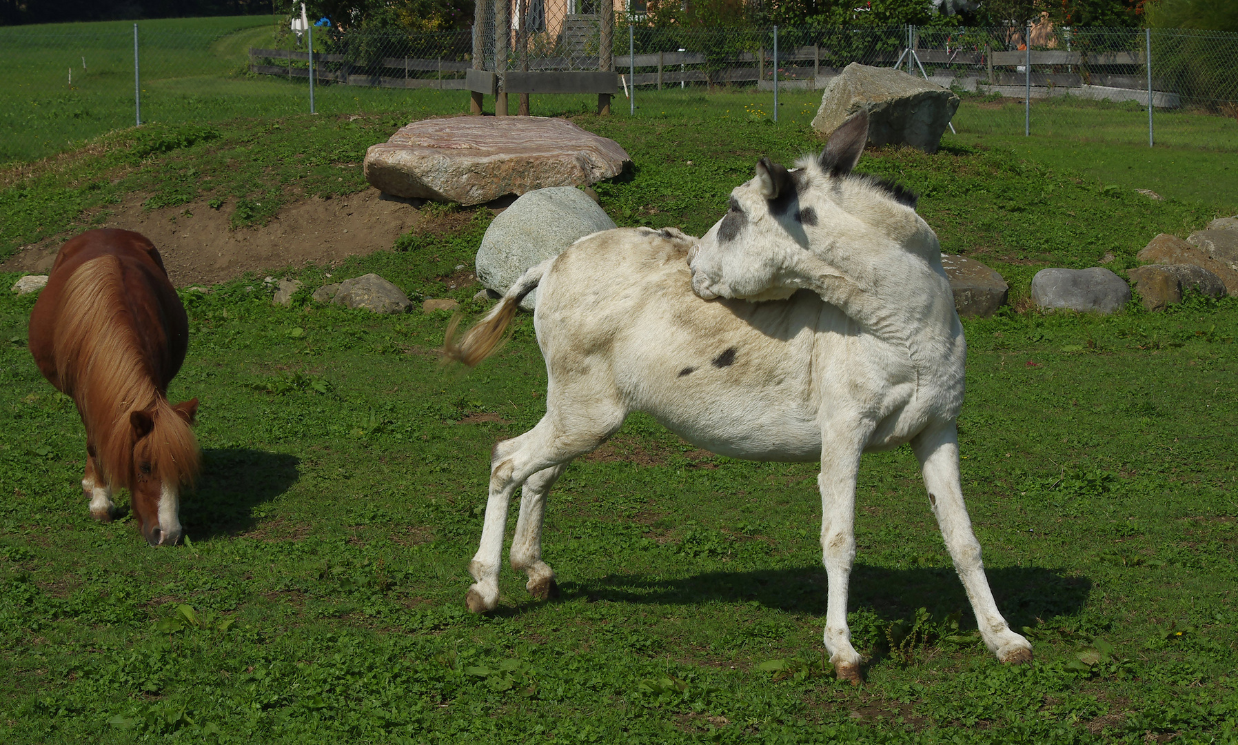 Ferien auf dem Bauernhof