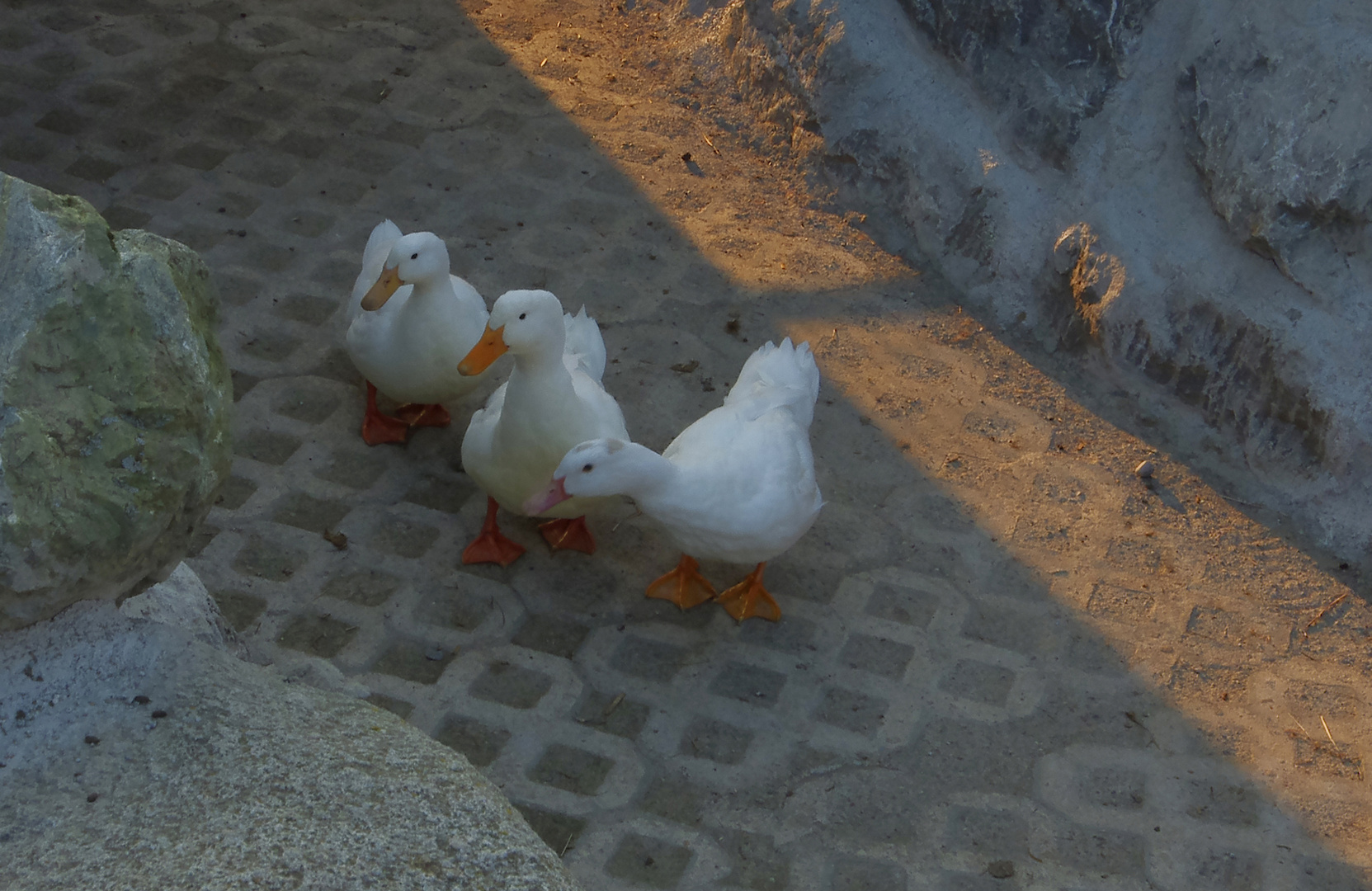 Ferien auf dem Bauernhof