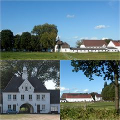 Ferien auf dem Immenhof