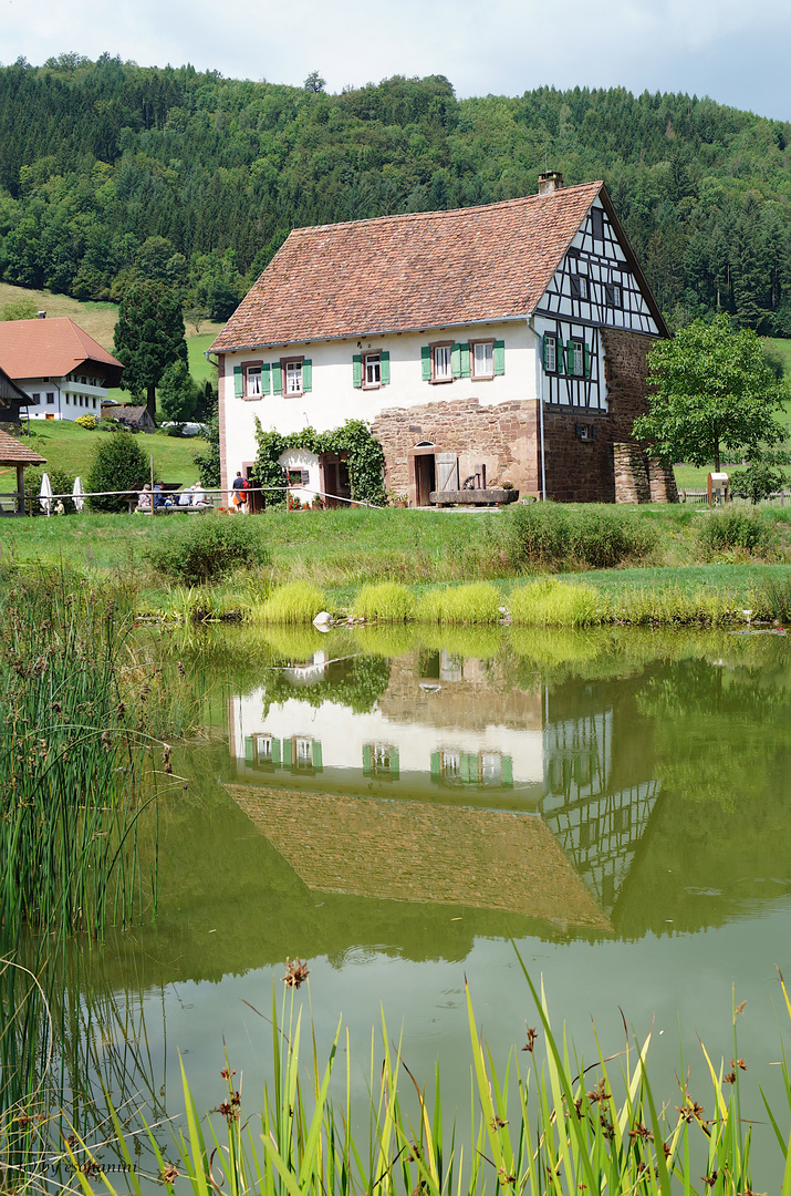 Ferien - II Foto & Bild | deutschland, europe, baden- württemberg Ferien - II Foto & Bild | deutschland, europe, baden- württemberg