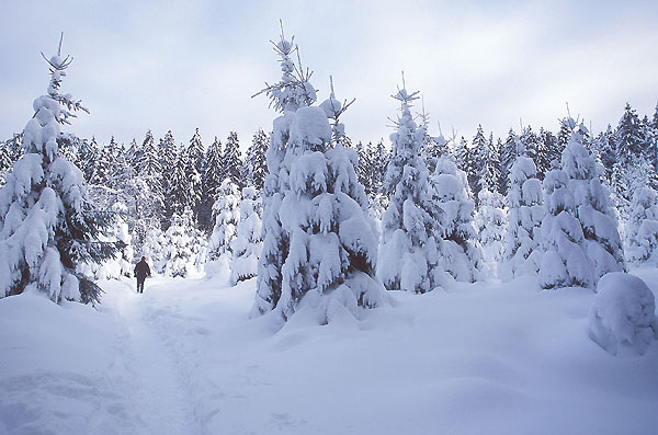 Ferien im Schnee