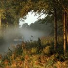 Ferien in Mecklenburg