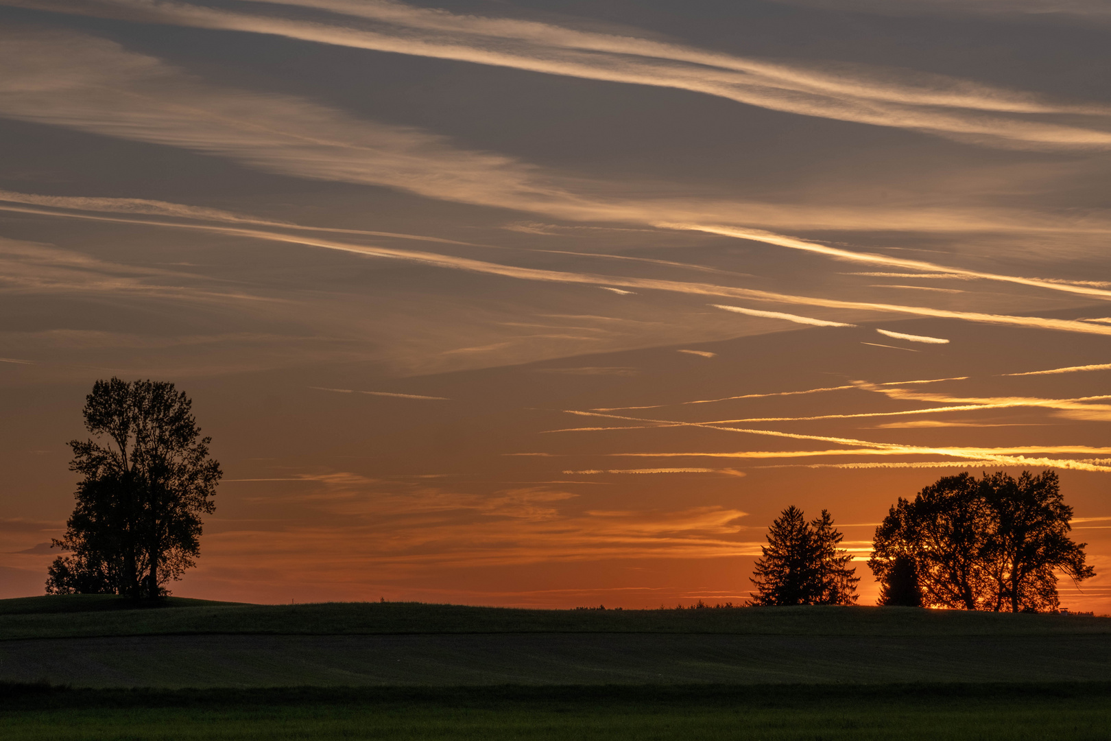 Ferienende Foto & Bild himmel, himmel & universum, bäume Bilder auf