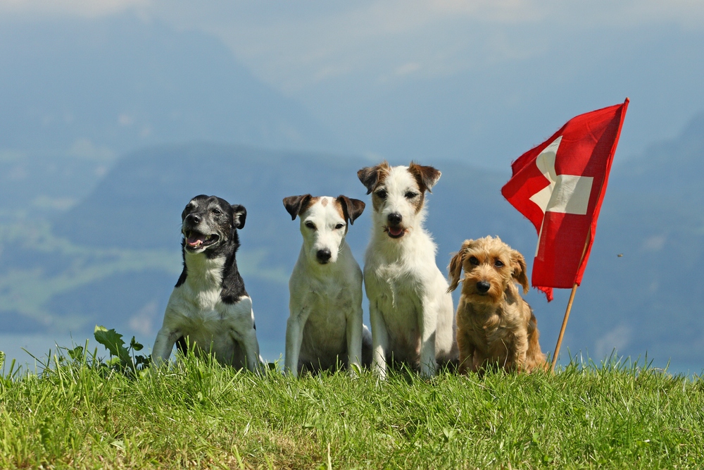 Feriengrüße........von den Kötis ;-)