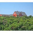 Ferienhäuser auf Sylt