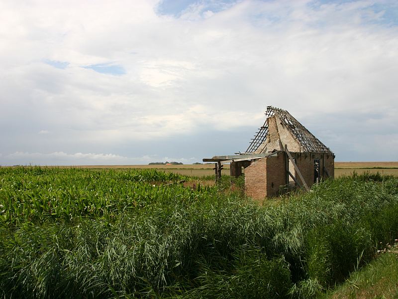 Ferienhaus auf Texel :-))