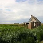 Ferienhaus auf Texel :-))