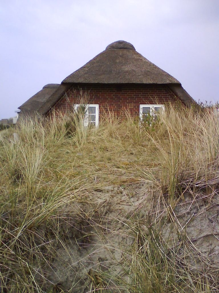 ferienhaus dänemark