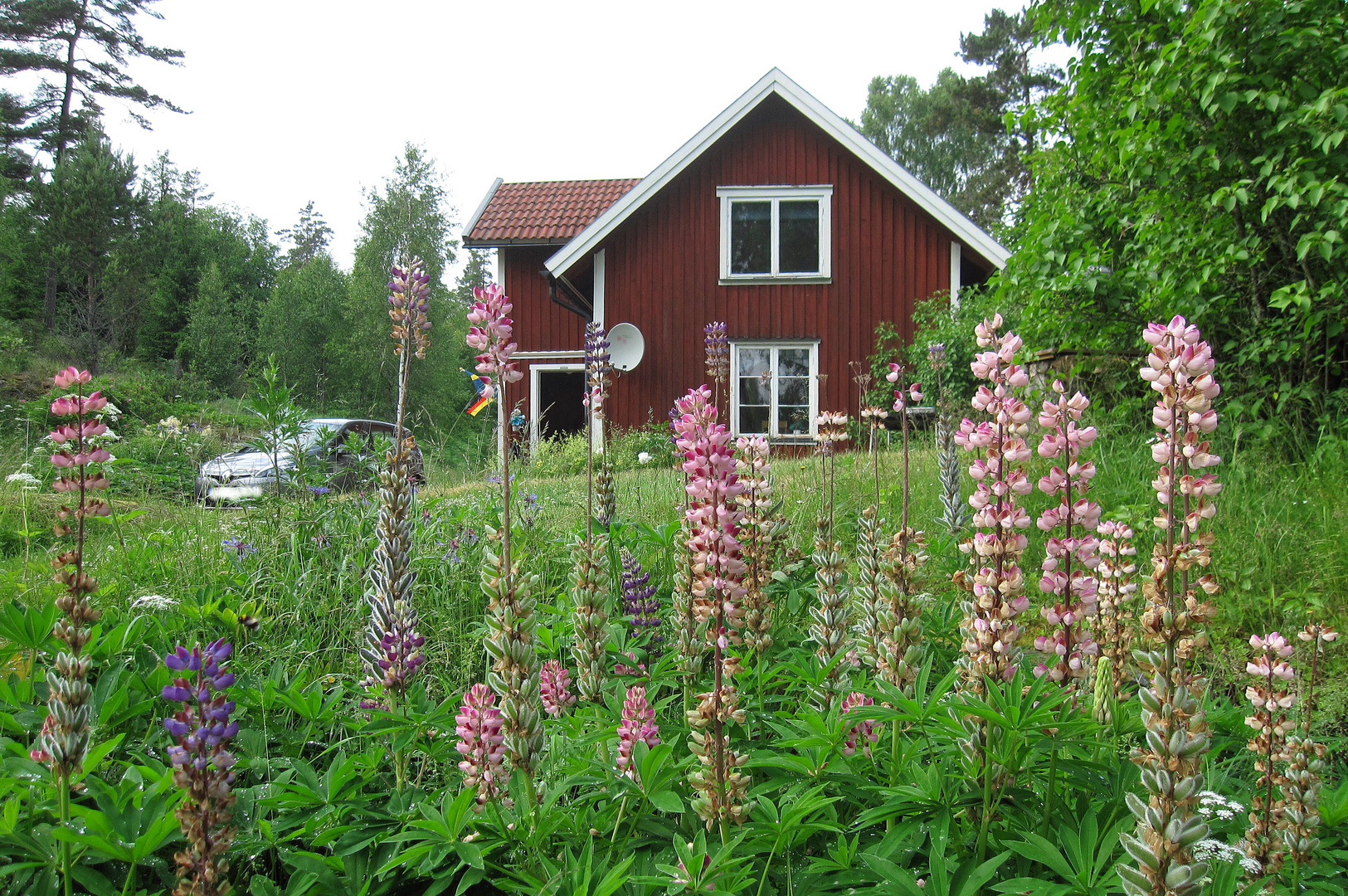 Ferienhaus im Dalsland