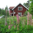 Ferienhaus im Dalsland