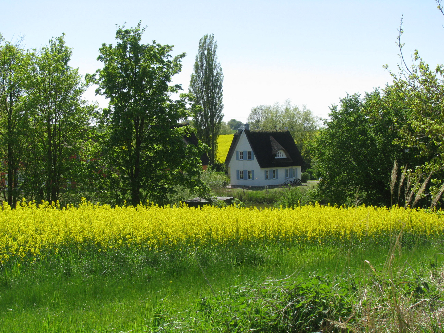 Ferienhaus in Beckerwitz-Ausbau (NWM)