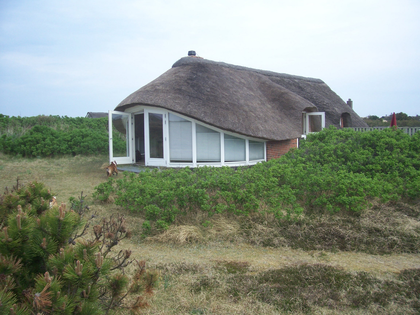 Ferienhaus in Dänemark in einmaligem Design