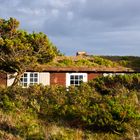 Ferienhaus in den Dünen