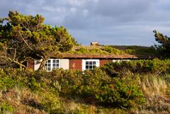 Ferienhaus in den Dünen