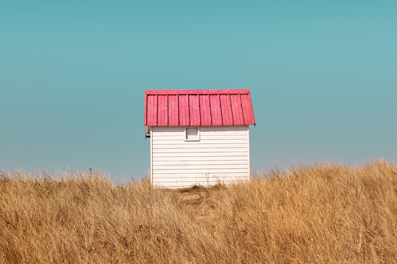 "Ferienhaus" in Pink