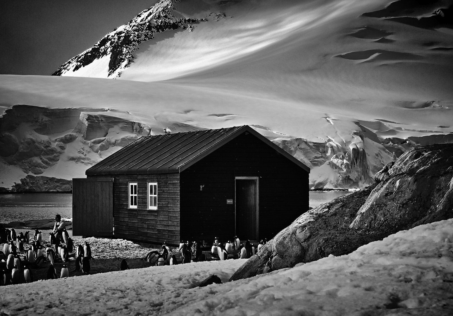 ferienhaus mit pinguin nachbarschaft ...