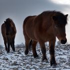 Ferienlager Limpachtal