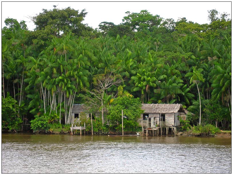 Ferienwohnung im Amazonas 2 :-)