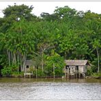 Ferienwohnung im Amazonas 2 :-)