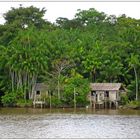 Ferienwohnung im Amazonas 2 :-)