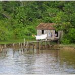 Ferienwohnung im Amazonas 3 :-)