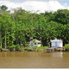 Ferienwohnung im Amazonas 4 :-)