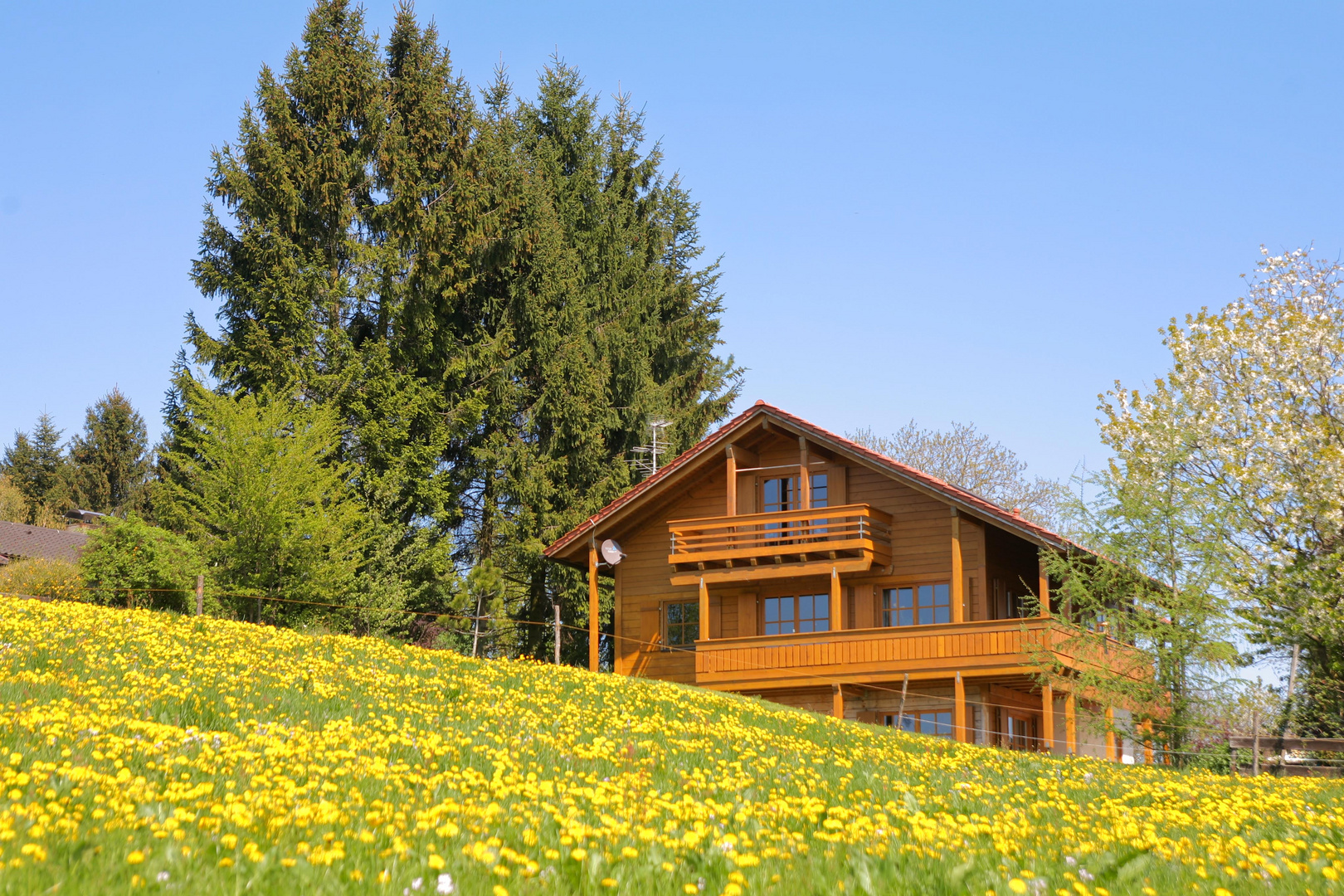 Ferienwohnung: Luxus in Mollenberg erleben, nähe Lindau am Bodensee