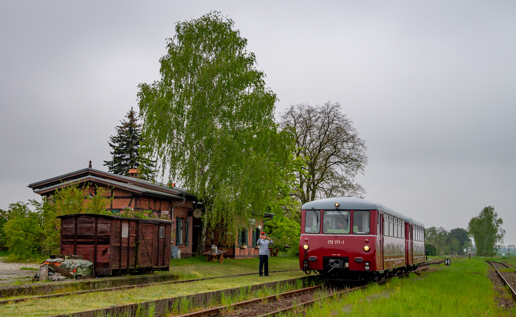 Ferkel in Duben