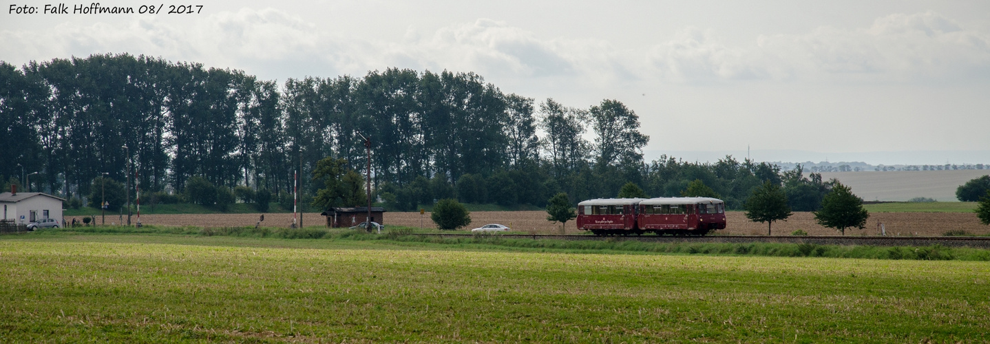 Ferkelei am Sonntag - Panorama