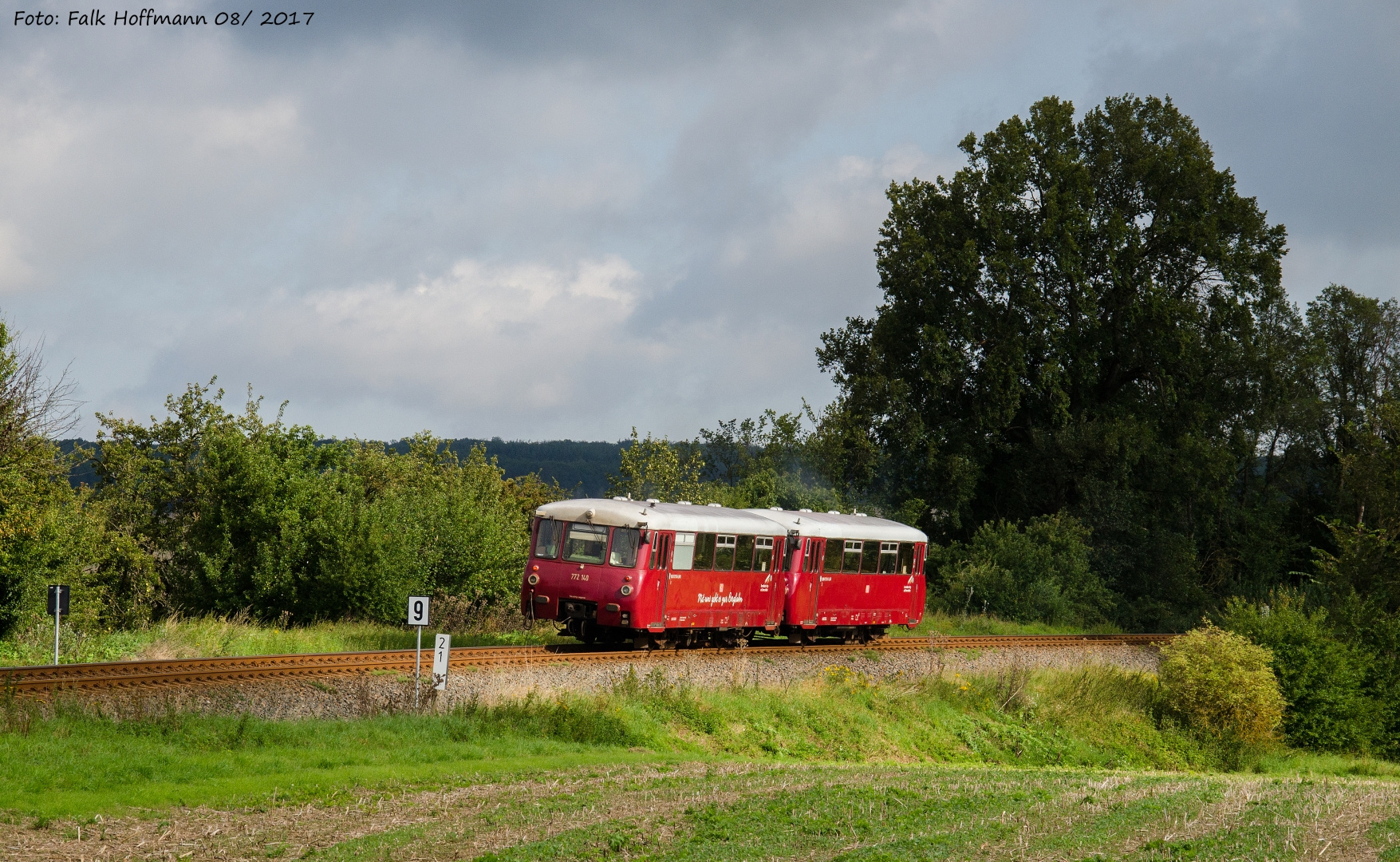 Ferkelei am Sonntag - Spotlight