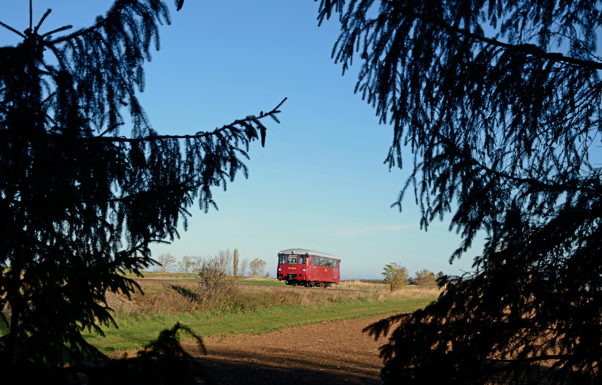 Ferkeltaxe im Einsatz 1