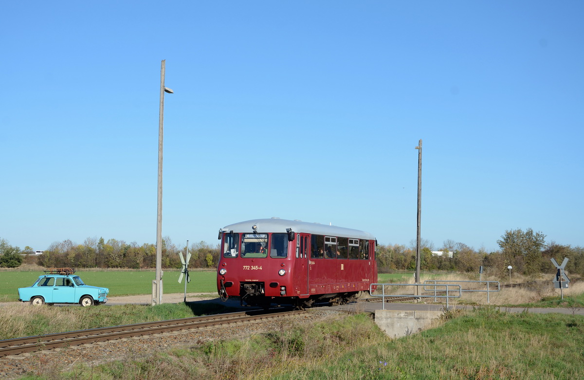 Ferkeltaxe im Einsatz 5