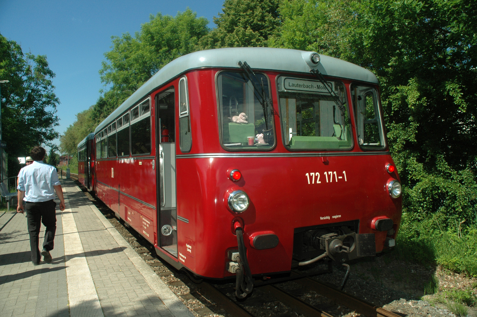 Ferkeltaxe in Lauterbach Mole