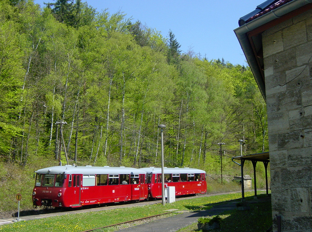 Ferkeltaxe in Schwarzburg