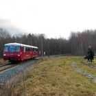 Ferkeltaxe unterwegs auf der Ohratalbahn