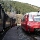 "Ferkeltaxe" VT 772 und " Raanzer"