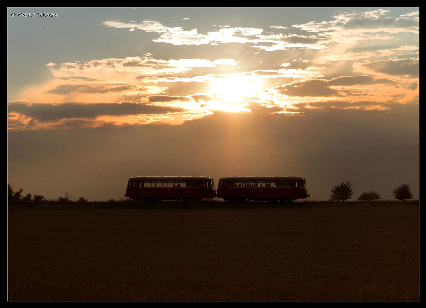 Ferkeltaxi in der Abenddämmerung 