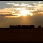 Ferkeltaxi in der Abenddämmerung 