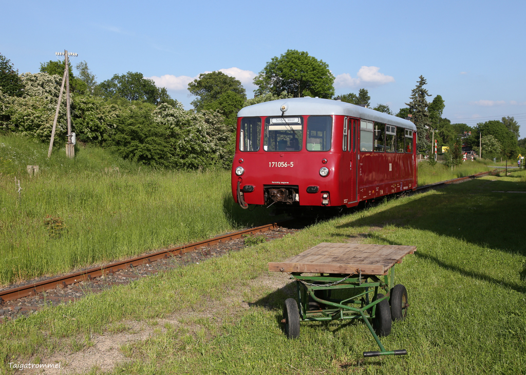 Ferkeltaxi in Mühltroff