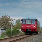 Ferkeltaxi in Nordhausen Salza