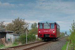 Ferkeltaxi in Nordhausen Salza