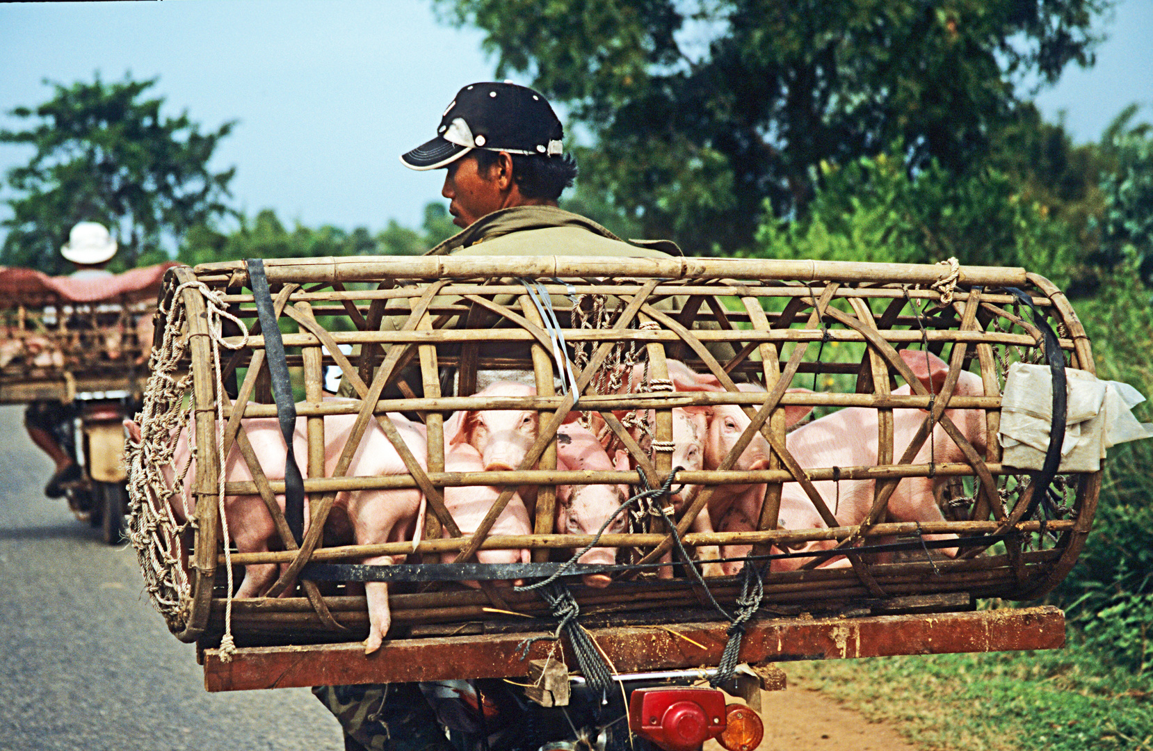 Ferkeltaxi, Vietnam