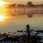 Fermasee im Morgengrauen