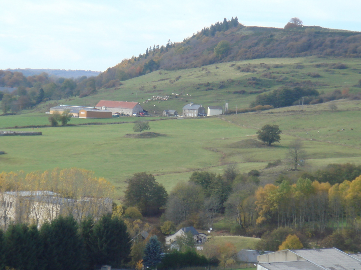 ferme dans le cantal a riom es montagne